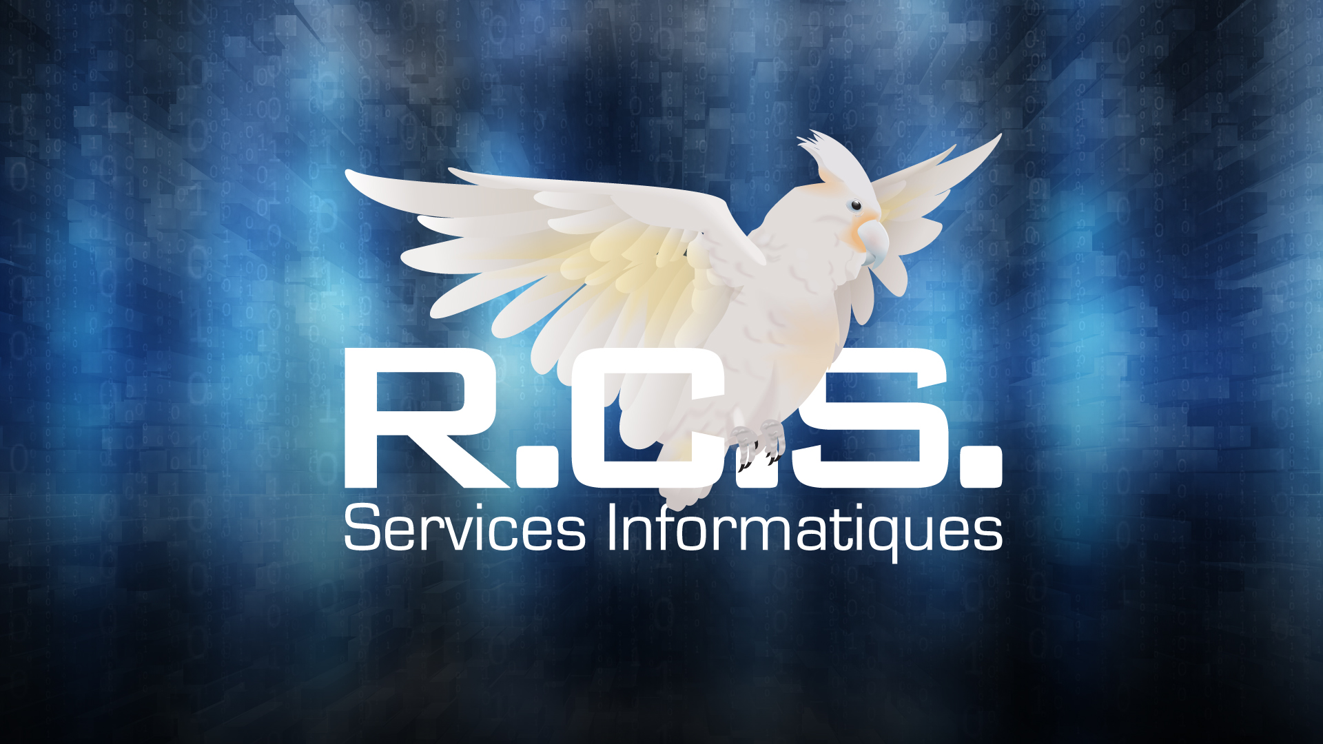 logo R.C.S. INC